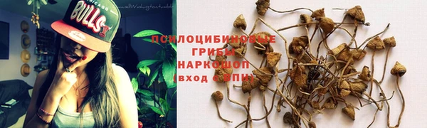 марки nbome Верея